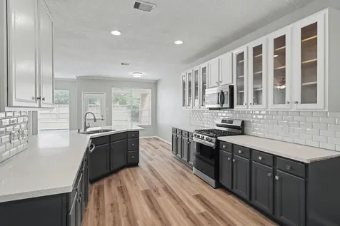 22310 Lamaster Lane Spring TX 77373