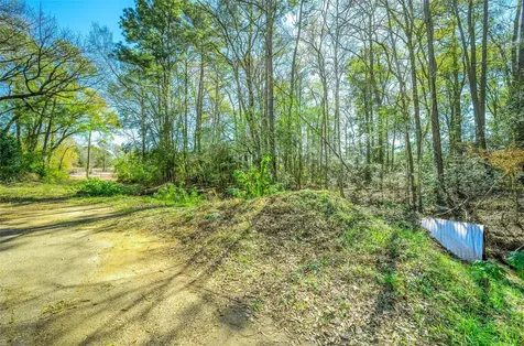 25 Holly Springs Drive Conroe TX 77302