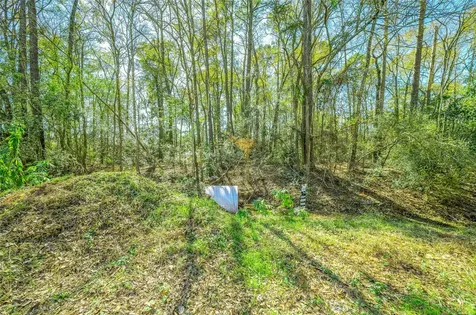 25 Holly Springs Drive Conroe TX 77302