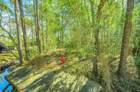 25 Holly Springs Drive Conroe TX 77302