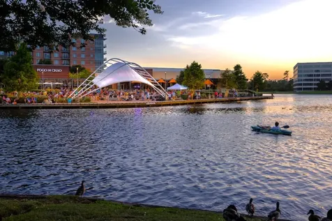 310 Leafsage The Woodlands TX 77381