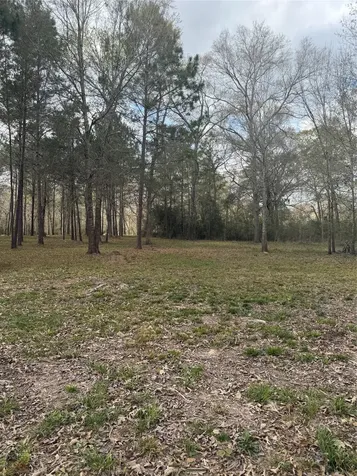 26164 Grand Pines Road Magnolia TX 77355