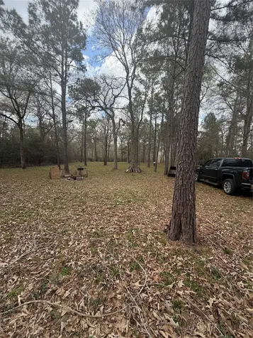26164 Grand Pines Road Magnolia TX 77355