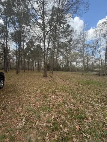 26164 Grand Pines Road Magnolia TX 77355