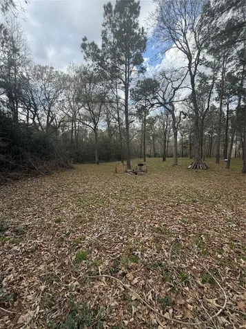 26164 Grand Pines Road Magnolia TX 77355