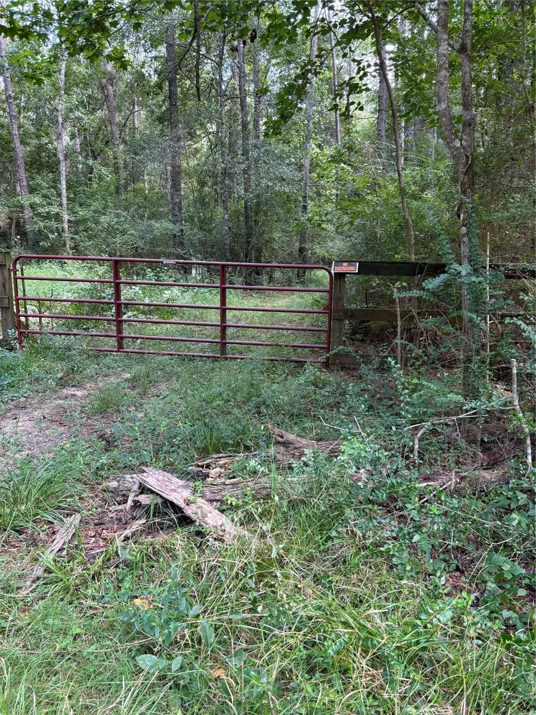 000 Bergman Drive Magnolia TX 77355