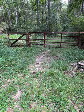000 Bergman Drive Magnolia TX 77355