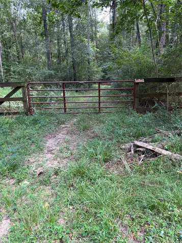 000 Bergman Drive Magnolia TX 77355