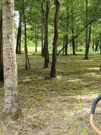 201 Cypress Lakes Circle Cleveland TX 77327