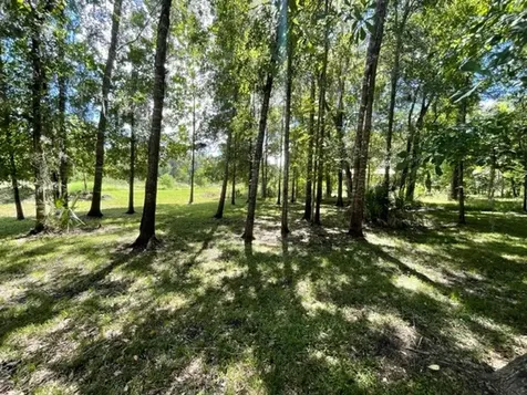 201 Cypress Lakes Circle Cleveland TX 77327