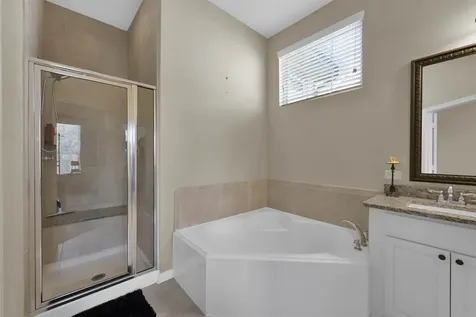 210 Cheswood Forest Place Montgomery TX 77316