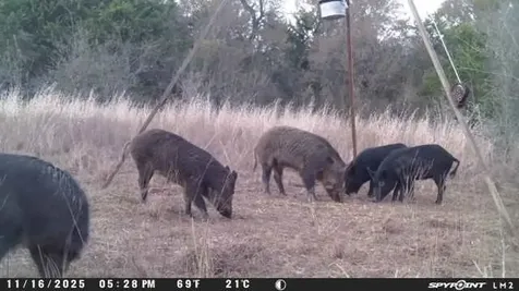 0 Highway 84 Mexia TX 76667