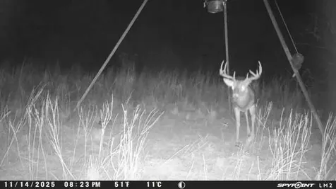 0 Highway 84 Mexia TX 76667