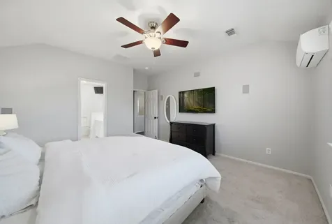 20515 Spring Bluff Lane Spring TX 77388