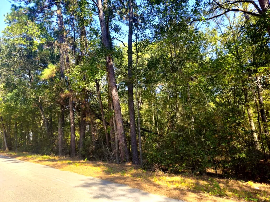 Tbd Royal Springs Road Conroe TX 77303