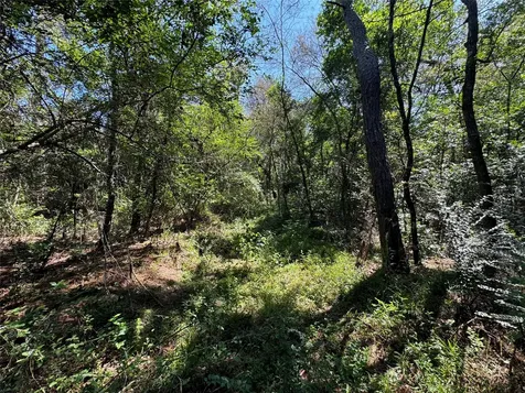 7795-00-10300 Assessor's Parcel Number 7795-00-10300 New Caney TX 77357