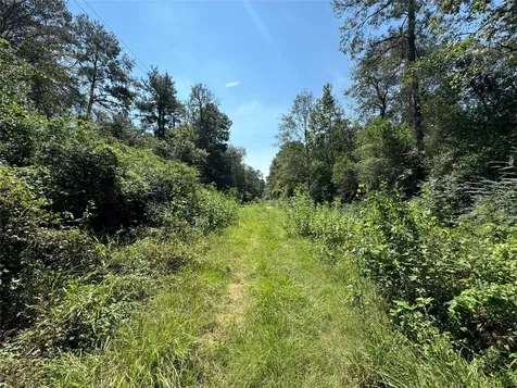 7795-00-10300 Assessor's Parcel Number 7795-00-10300 New Caney TX 77357