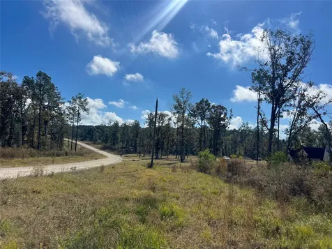 Tbd 7 Reveille Road Livingston TX 77351