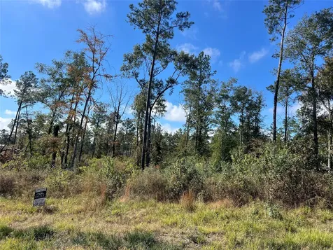Tbd 7 Reveille Road Livingston TX 77351