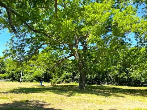 2125 Peach Ridge Road Brookshire TX 77423