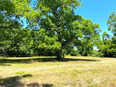 2125 Peach Ridge Road Brookshire TX 77423