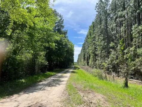 Tract 3 English Road Bedias TX 77831