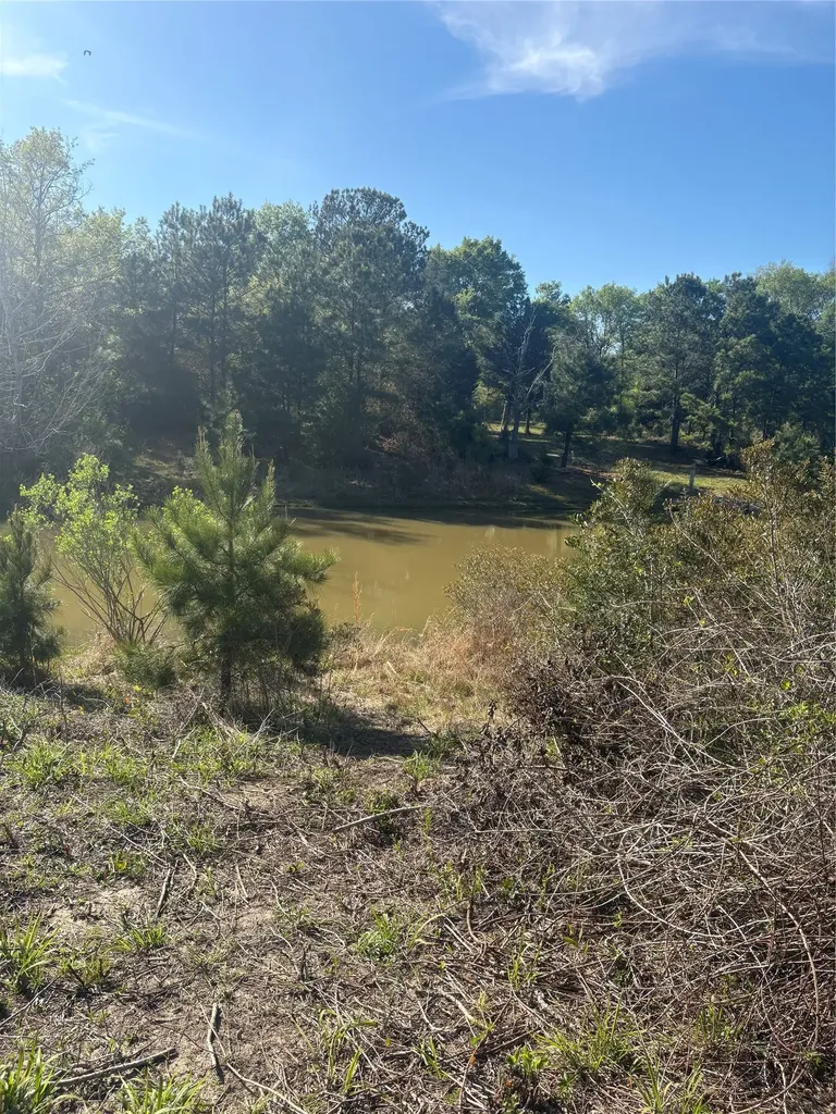 26770 Lake Shore Drive Hempstead TX 77445