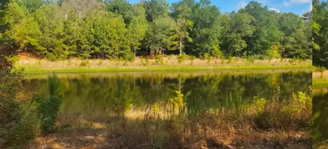 26770 Lake Shore Drive Hempstead TX 77445