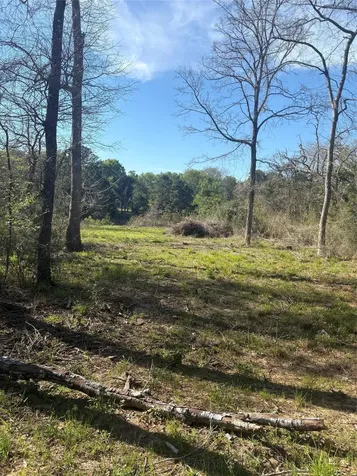 26770 Lake Shore Drive Hempstead TX 77445
