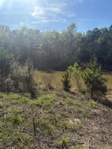 26770 Lake Shore Drive Hempstead TX 77445