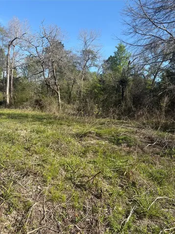 26770 Lake Shore Drive Hempstead TX 77445