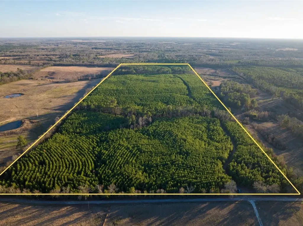T-7 Cr 4415 Annona TX 75559