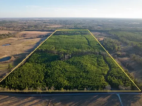 T-7 Cr 4415 Annona TX 75559