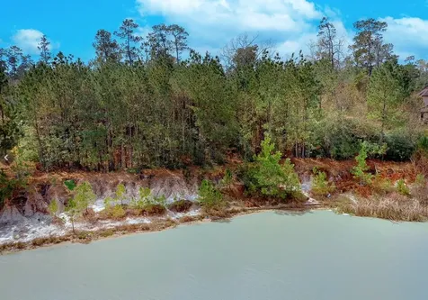 27587 S Lazy Meadow Way Spring TX 77386