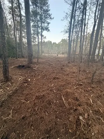104 Coyote Run New Waverly TX 77358