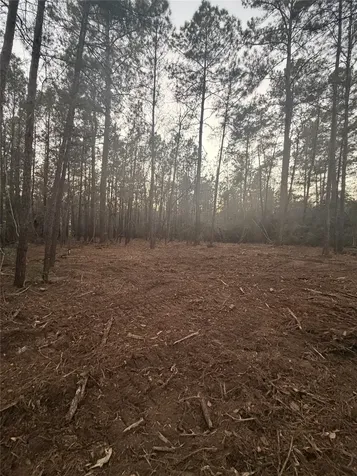 104 Coyote Run New Waverly TX 77358