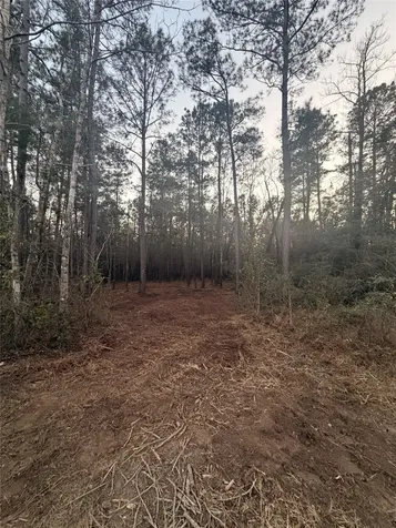 104 Coyote Run New Waverly TX 77358