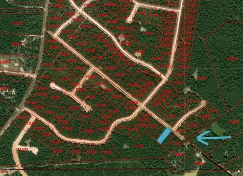 104 Coyote Run New Waverly TX 77358