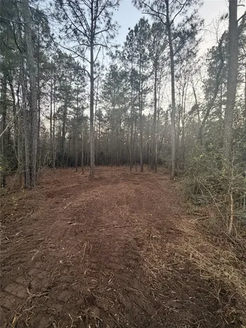 104 Coyote Run New Waverly TX 77358