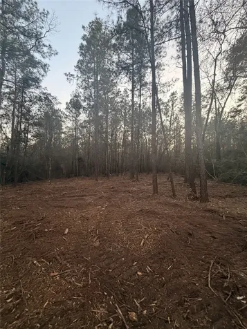 104 Coyote Run New Waverly TX 77358