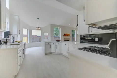 20403 Misty Cove Drive Katy TX 77449