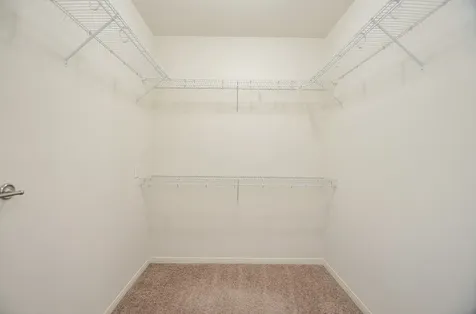 10531 Logger Pine Trail Houston TX 77088