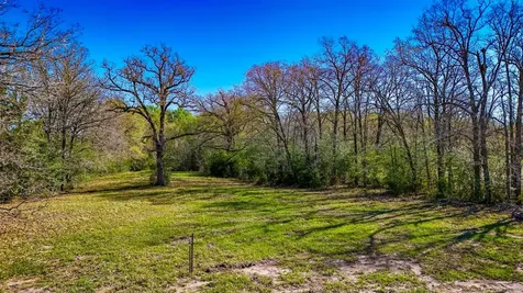 Tract 11 Connor Landing Court Madisonville TX 77864