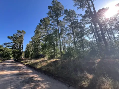 T-8 Fountain Creek Road Groveton TX 75845