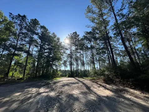 T-8 Fountain Creek Road Groveton TX 75845
