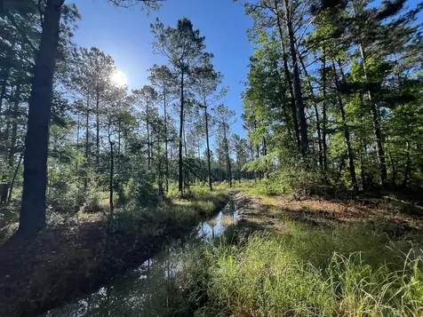 T-8 Fountain Creek Road Groveton TX 75845