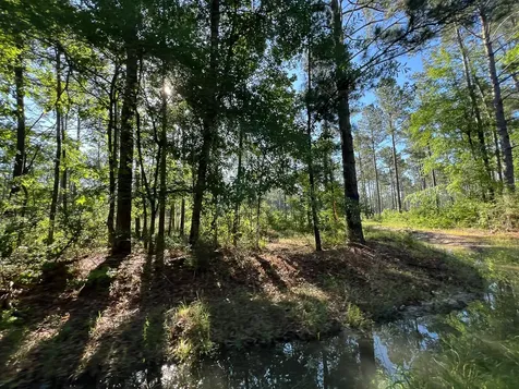 T-8 Fountain Creek Road Groveton TX 75845