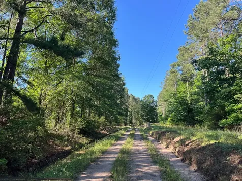 T-8 Fountain Creek Road Groveton TX 75845