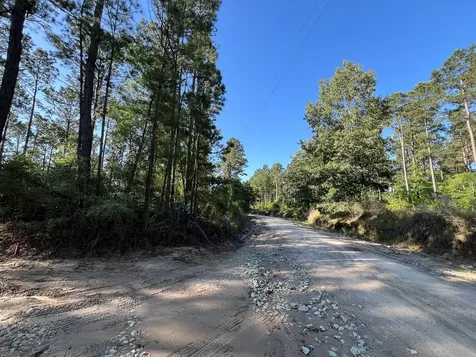 T-8 Fountain Creek Road Groveton TX 75845