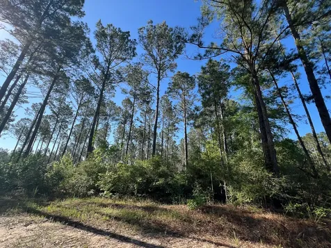 T-8 Fountain Creek Road Groveton TX 75845
